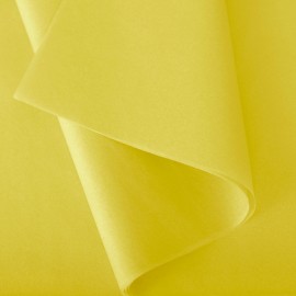 Notre vaste gamme de couleurs de papier de soie Montségur