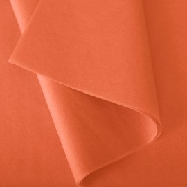 60 feuilles de papier de soie coloré en vrac 35x50cm papier de soie  d'emballage 20 couleurs assorties papier de soie d'art po 57 - Cdiscount  Beaux-Arts et Loisirs créatifs