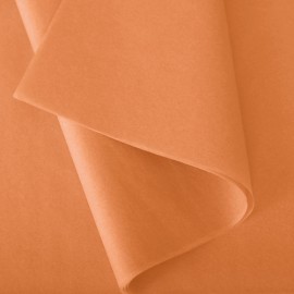 Rame 240 feuilles colorées de papier de soie sirius